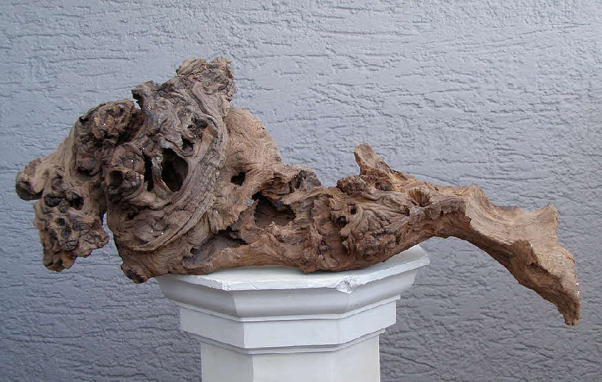 Wurzelholz - 50 x 25 x 12 cm  - 39 € mtl./K 350 €