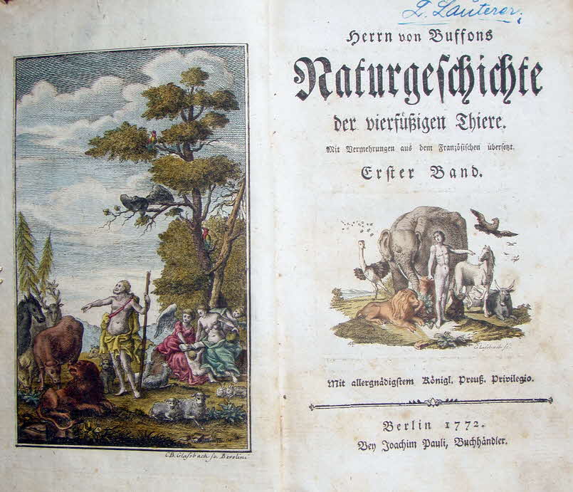 Buffon's Naturgeschichte der vierf�ssigen Thiere - mit farbigen Stichen 1772 - Erster Band - 12 x 20 cm - 329 Seiten -  39 € mtl./K 450 €